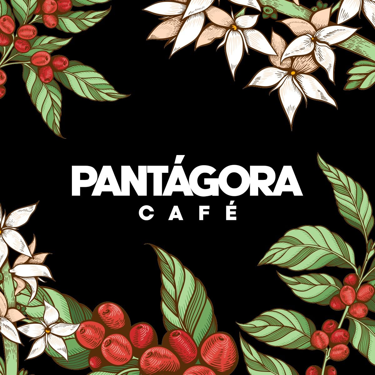 PANTÁGORA CAFÉ