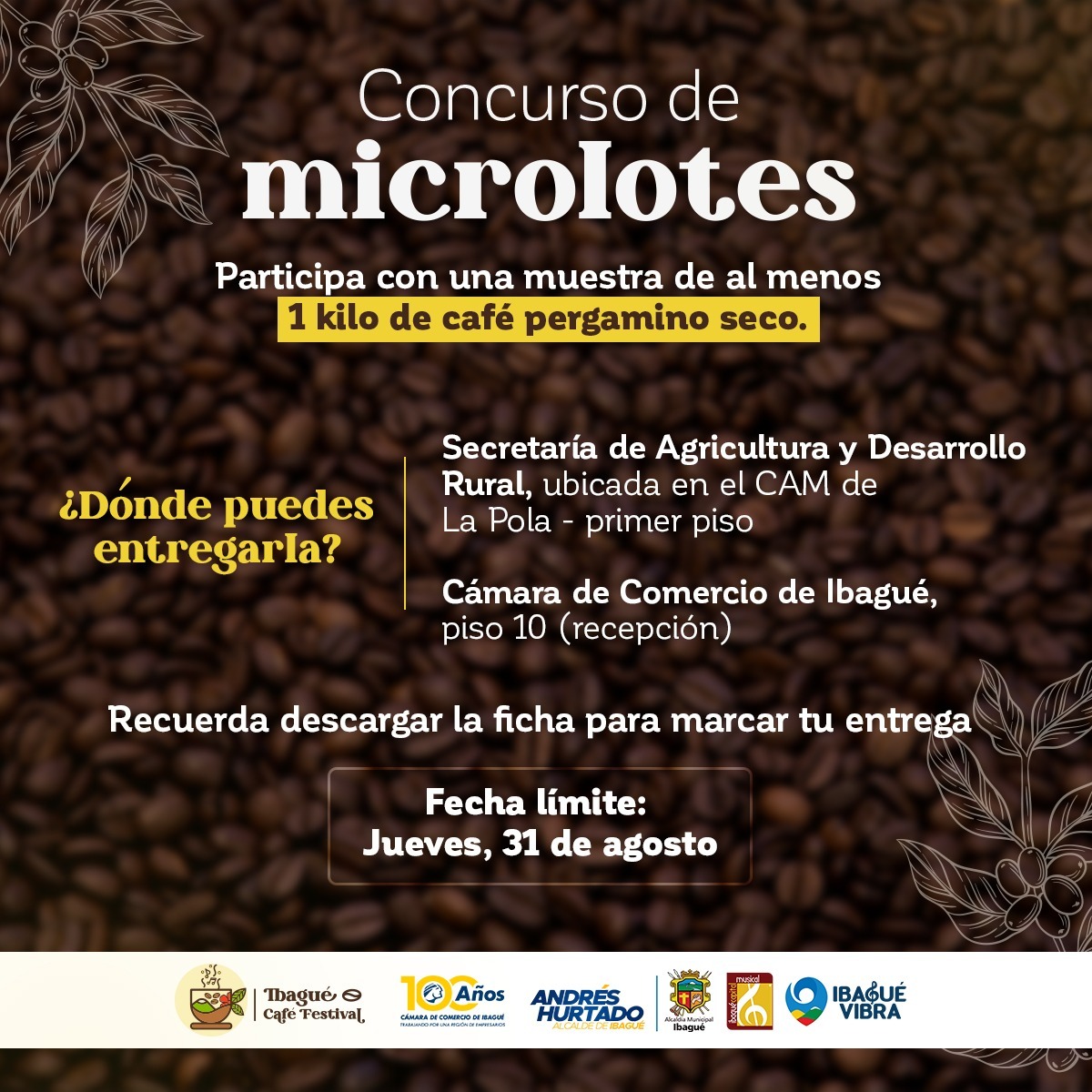 Top 10 finalistas microlotes 2023